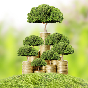 Innovationsmanagement Finanzierungsservice